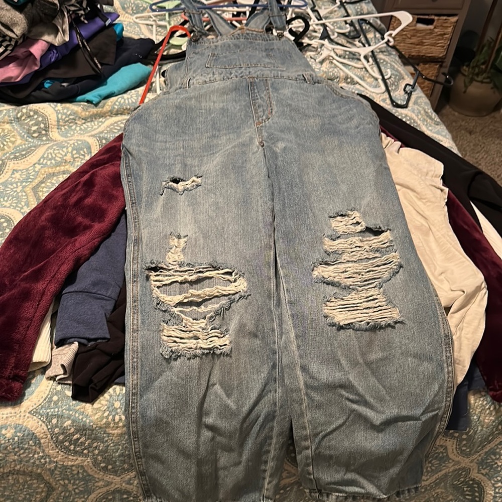 Wild Fable Overalls